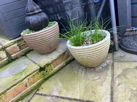 Photo of free Garden pots (3) (West Bridgford NG2) #1