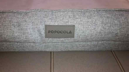 Photo of free Pet Lounger "Popocola" Brand (Queenstown, near MRT) #2