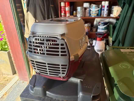 Photo of free Small animal carrier (Turf Hill GU18) #1