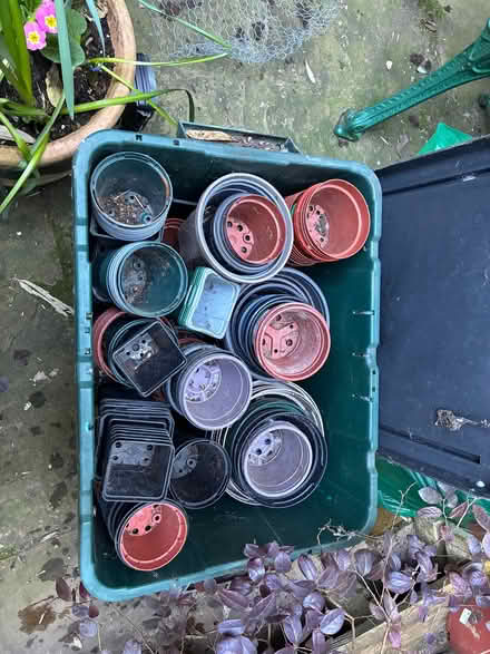 Photo of free Plant pots of various sizes (Wood Green N22) #2