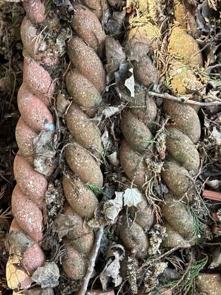 Photo of free Bradstone Antique red rope Paving edging (H)160 mm (W)600mm (Dacorum HP23) #2