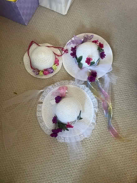 Photo of free Spring hats (East End Alameda) #1