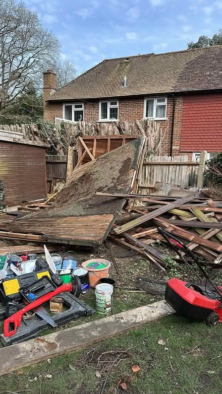 Photo of free Wood (Holmwood) #1