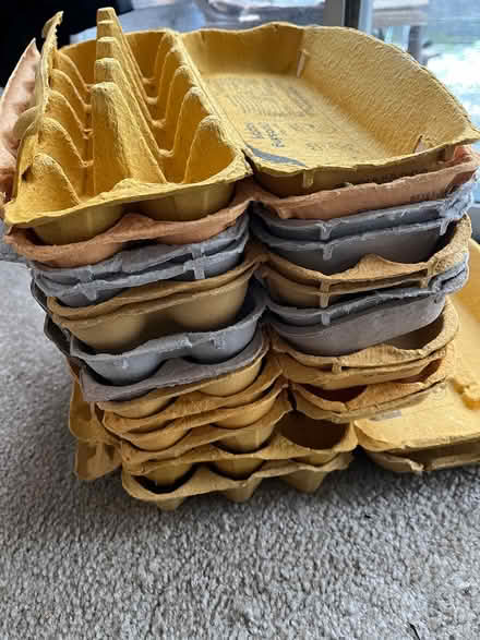 Photo of free egg cartons (Sun Valley) #1