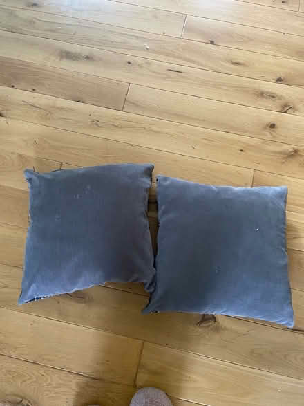 Photo of free Cushions (Bear Flat) #3