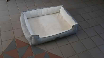 Photo of free Pet Lounger "Popocola" Brand (Queenstown, near MRT) #1