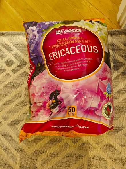 Photo of free bag of compost (Lewes BN7) #1