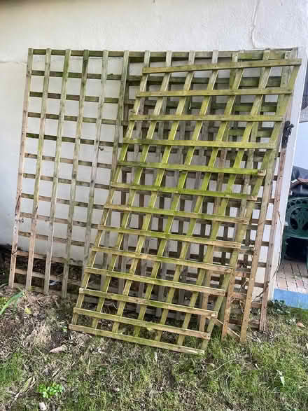 Photo of free Garden trellising (Rathfarnham) #1
