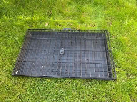 Photo of free Medium sized animal crate (Bracknell RG12) #4