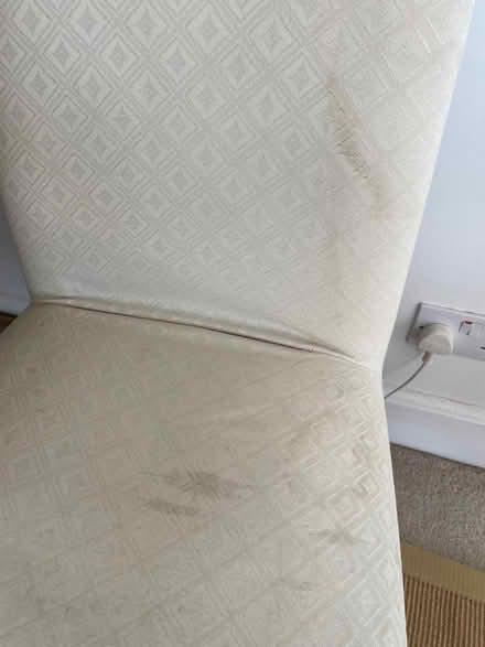 Photo of free 8 Dining Chairs With Removable Covers (CT20) #4