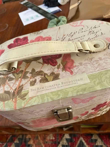 Photo of free Jewellery/trinket box (Clive Vale TN35) #1