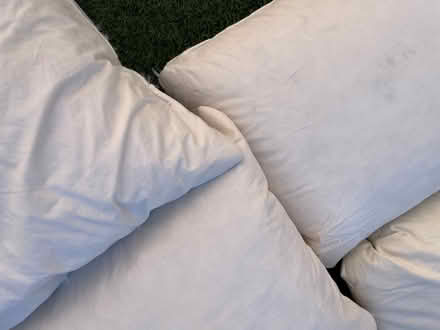 Photo of free 5 Cushions (Grafton area Cambridge CB1) #2