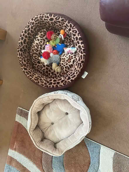 Photo of free Cat beds (Birkenhead) #1