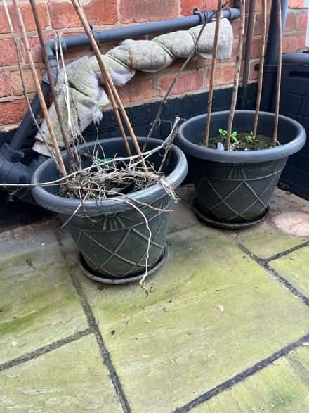 Photo of free Large garden pots (West Bridgford NG2) #1