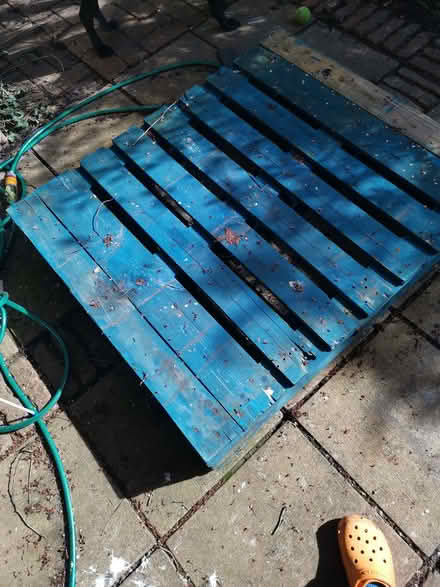 Photo of free 1 x euro pallet (Headington OX3) #1