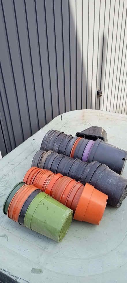 Photo of free Plastic Plant Pots (Thornhill CF14) #2