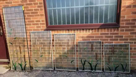 Photo of free glass door panels (Kirk Merrington DL16) #1