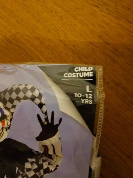 Photo of free Child costume (Denholme BD13) #2