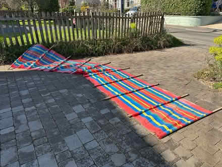 Photo of free Windbreak (Yatton BS49) #1