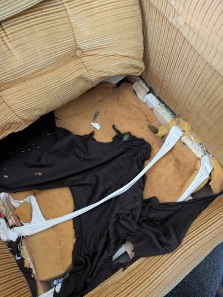 Photo of free Two vintage armchairs (project) (Seven dials Brighton) #3