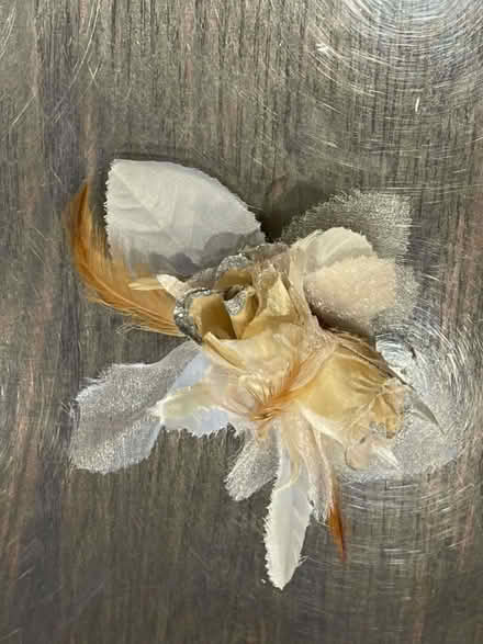 Photo of free Jewellery (Lightwater GU18) #2