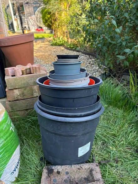 Photo of free Variety plant pots (Roffey RH12) #2