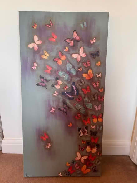 Photo of free Butterfly Canvas (Witham CM8) #1