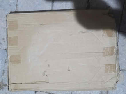 Photo of free Toilet seat (Chester CH1) #1