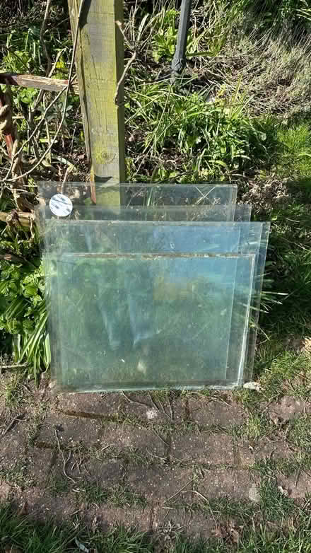 Photo of free Greenhouse glass panes x16 (Bilton, Rugby) #1