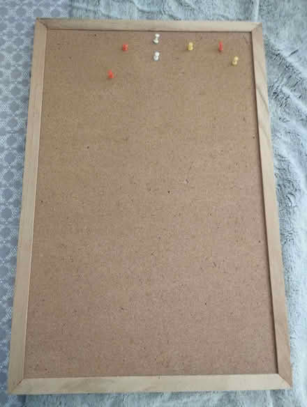 Photo of free Pin Board (CO7) #2