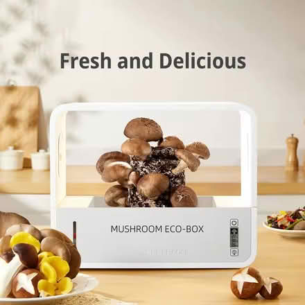Photo of free Supercool Smart Mushroom Eco-Box (Herald Square, Manhattan) #4