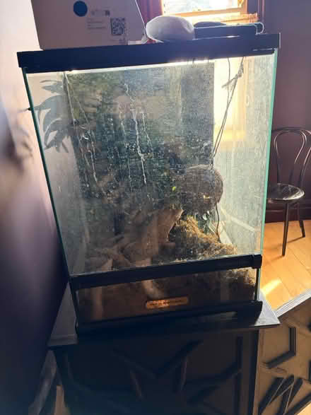 Photo of free Animal tank snake/ lizard heat pad (NW2) #1