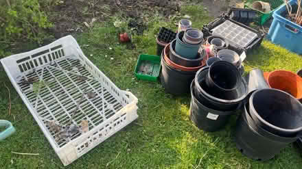 Photo of free An assortment of plastic pots (Pontesbury) #1