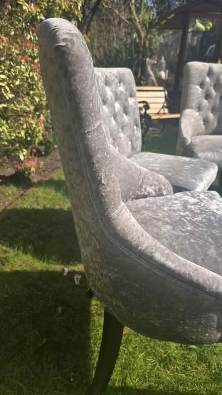 Photo of free NEXT- 4 x Crushed velvet chairs (M23 Manchester) #3
