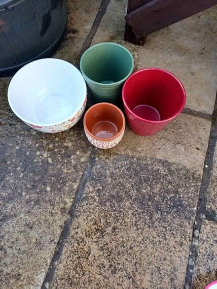 Photo of free Plant pots (Whitmore Park Coventry) #1