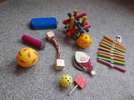 Photo of free Hamster accessories (Mayfield EH9) #1