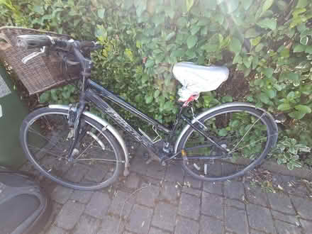 Photo of free Ladies bike (D6w) #1
