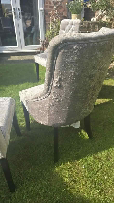 Photo of free NEXT- 4 x Crushed velvet chairs (M23 Manchester) #4