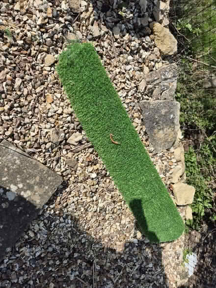 Photo of free Fake Grass (GL3) #1