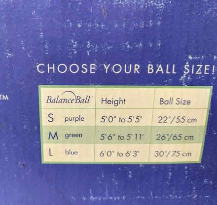 Photo of free Inflatable Balance Ball Kit (Macclesfield SK11) #3