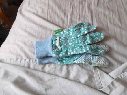Photo of free Ladies gardening gloves (Greenford UB6 8PF) #1