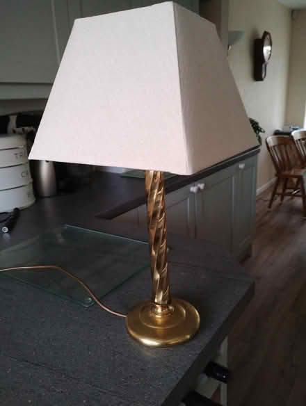 Photo of free Brass table lamp and shade (Pembrey SA16) #2