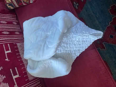 Photo of free Twin bed mattress cover (Upper NW) #2