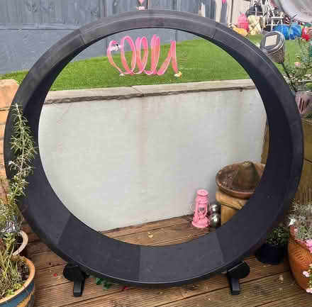 Photo of free Cat exercise treadmill (Loughton IG10) #1