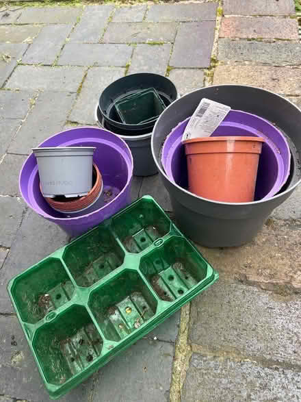 Photo of free Selection of plastic plant pots (Chester, Garden Quarter CH1) #1