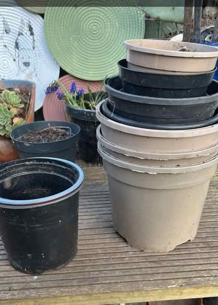 Photo of Plant Pots (CT11) #1