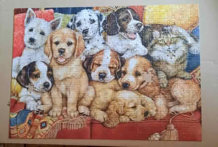 Photo of free Jigsaw - Feline Friend (Spondon DE21) #2