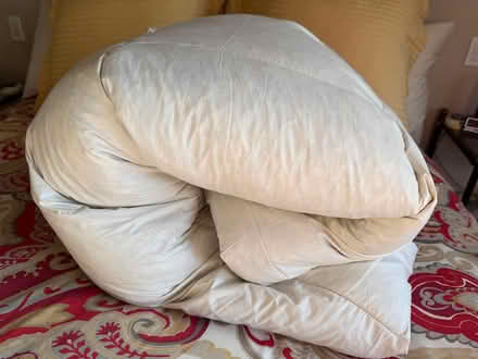 Photo of free Queen Size Feather Mattress Topper (Sunnyvale near Wolfe and Reed) #1