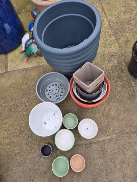 Photo of free Plant pots (Heybridge CM9) #2