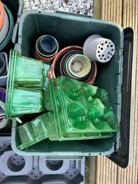 Photo of free Plant pots (BH23) #3